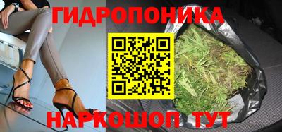 гашик Кимры