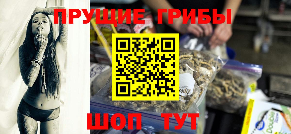 Галлюциногенные грибы Cubensis Кудрово